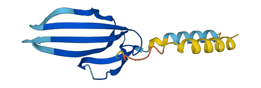 Ly6f 3D structure