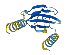 Ly6g 3D structure