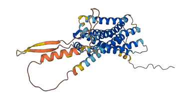 DRD3 3D structure
