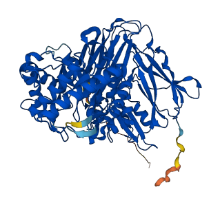 IDUA 3D structure