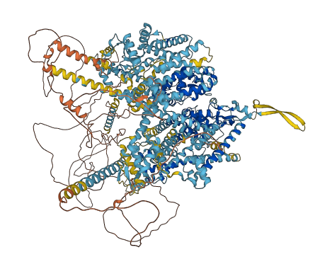SCN1A 3D structure