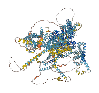 SCN4A 3D structure