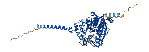UGT1A3 3D structure