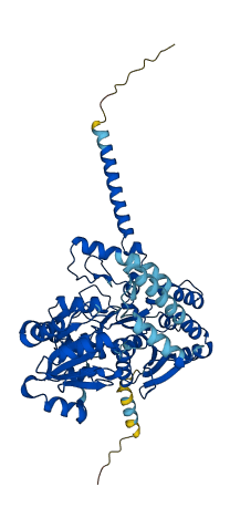 UGT1A5 3D structure
