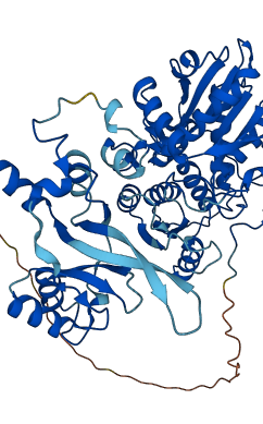 CBS 3D structure