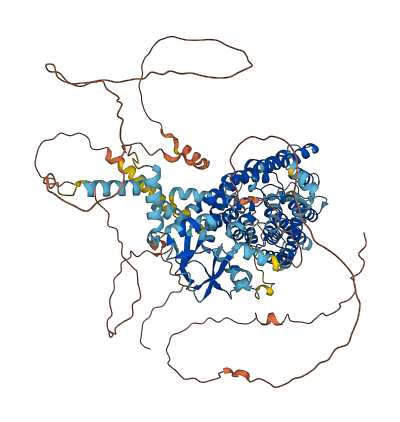 CLCN1 3D structure