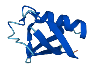 FAU 3D structure