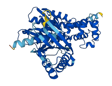GCK 3D structure