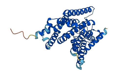 G6PC 3D structure