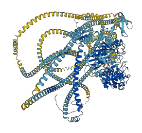 MYH9 3D structure