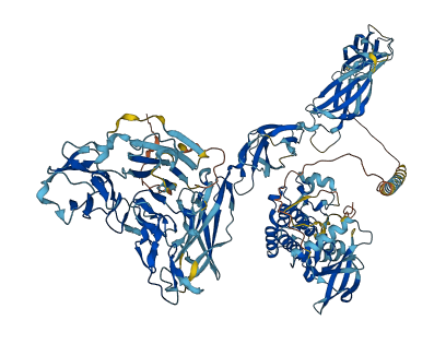 TIE1 3D structure