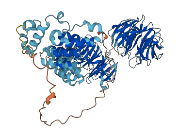 COPB2 3D structure