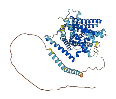 SOAT1 3D structure