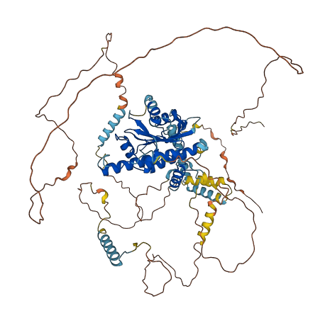 ADD1 3D structure