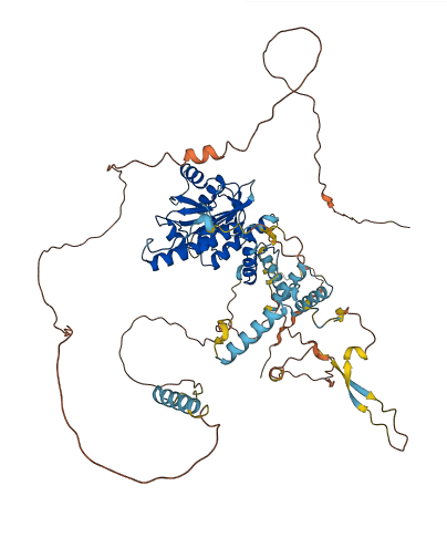 ADD2 3D structure