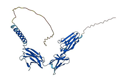 BSG 3D structure