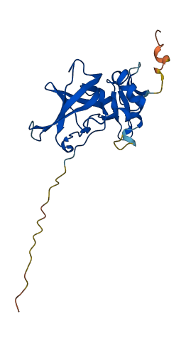 TIMP3 3D structure