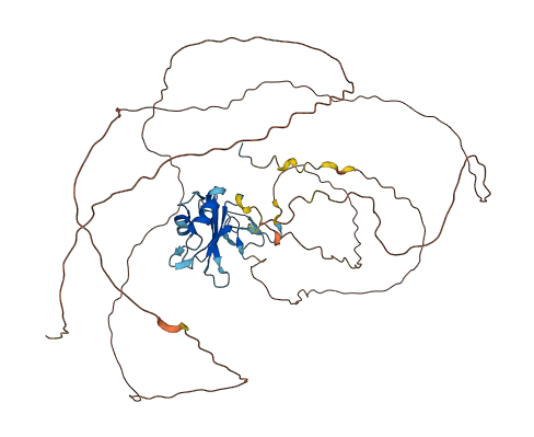 FUS 3D structure