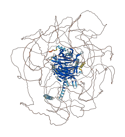 NUP214 3D structure
