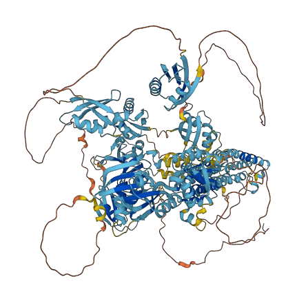 ATP7B 3D structure