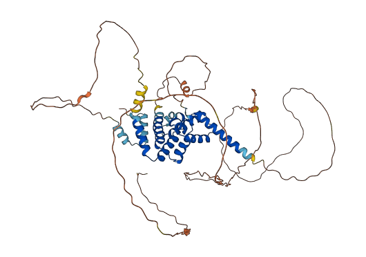 HNF1B 3D structure