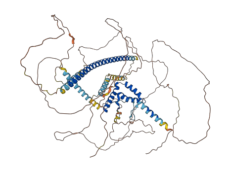 SOX5 3D structure