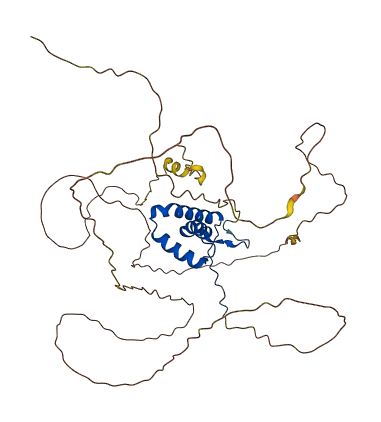 SOX11 3D structure