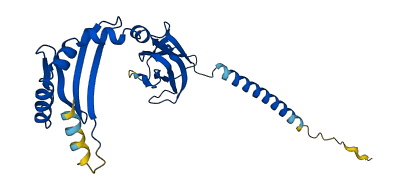 H2-DMb1 3D structure