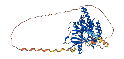 CHKA 3D structure