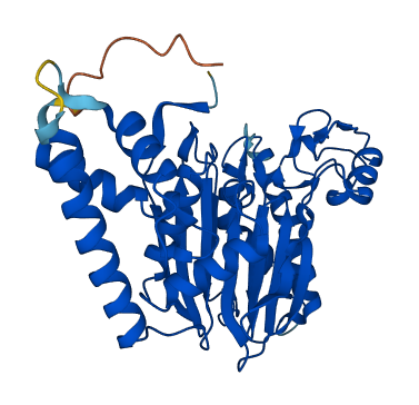 PPM1A 3D structure