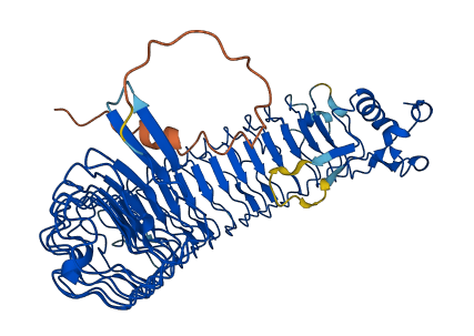 IGFALS 3D structure