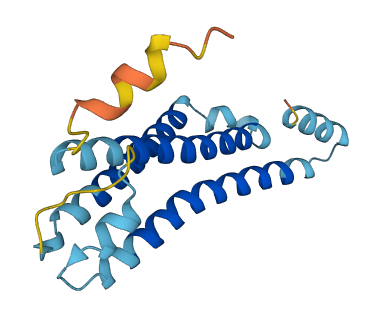 Olr1145 3D structure