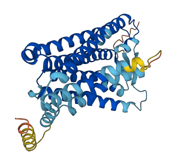 Olr1174 3D structure