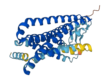 Olr1073 3D structure