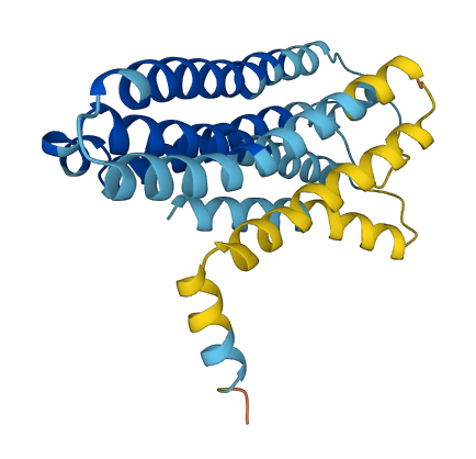 Olr1571 3D structure