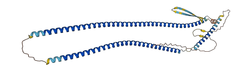 KRT20 3D structure