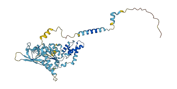 PSMC2 3D structure