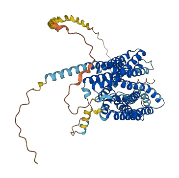 SLC16A2 3D structure