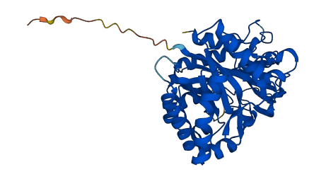 CHI3L1 3D structure