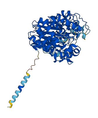 GGT2 3D structure