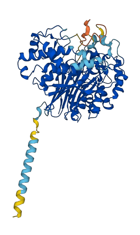 GGT5 3D structure