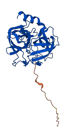 Egfbp2 3D structure