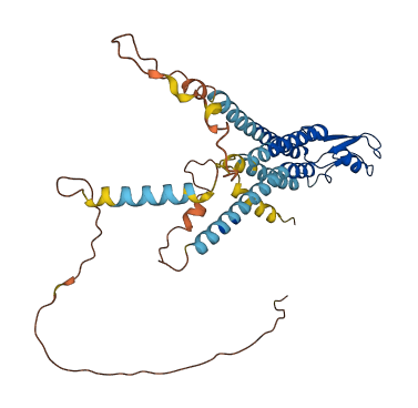 GJA5 3D structure