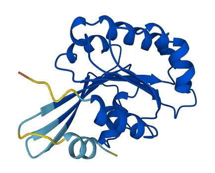 ARL3 3D structure