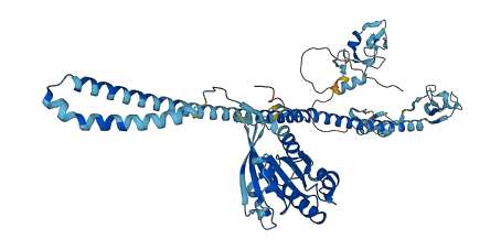 TRIM23 3D structure