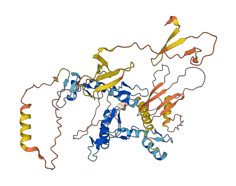 ZNF76 3D structure