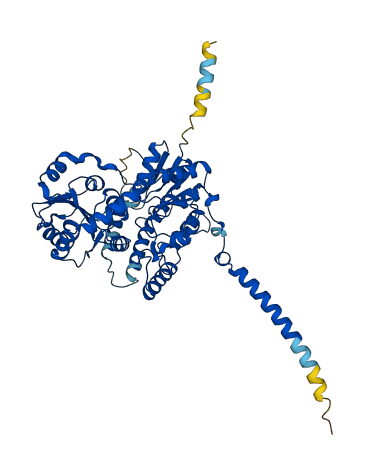 UGT2B10 3D structure
