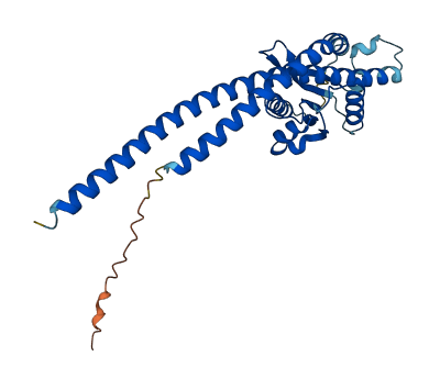 ATP5F1C 3D structure