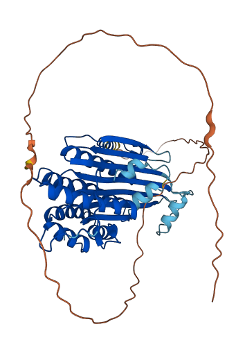 CPOX 3D structure