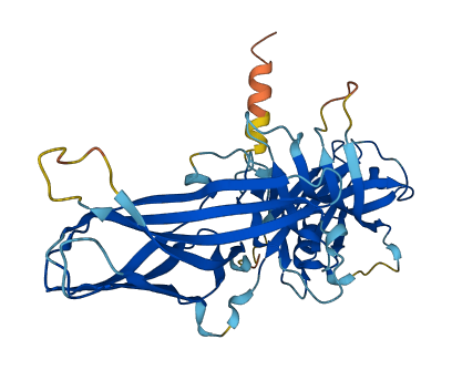 ARR3 3D structure